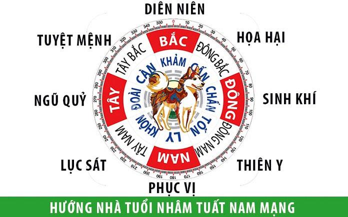 1982 hợp hướng nào