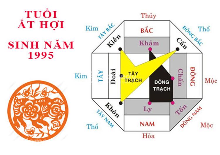 1995 hợp hướng nào