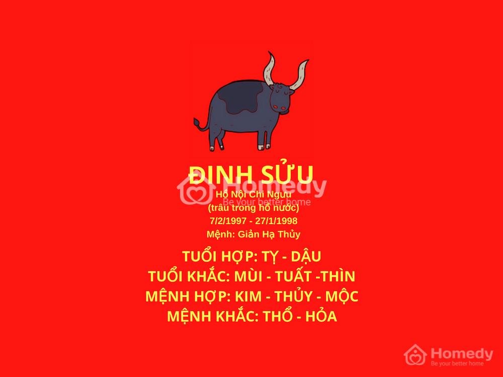 Sinh năm 1997 hợp hướng nào?