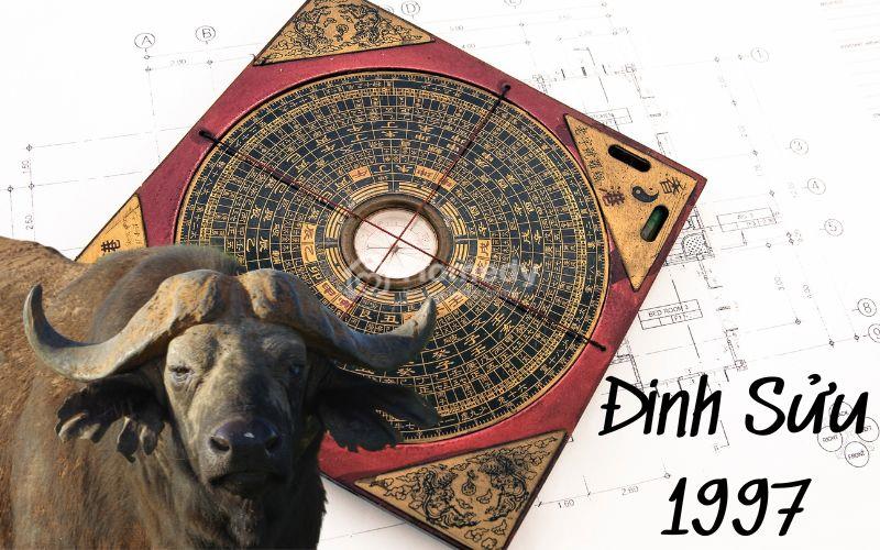 1997 hợp hướng nhà nào?