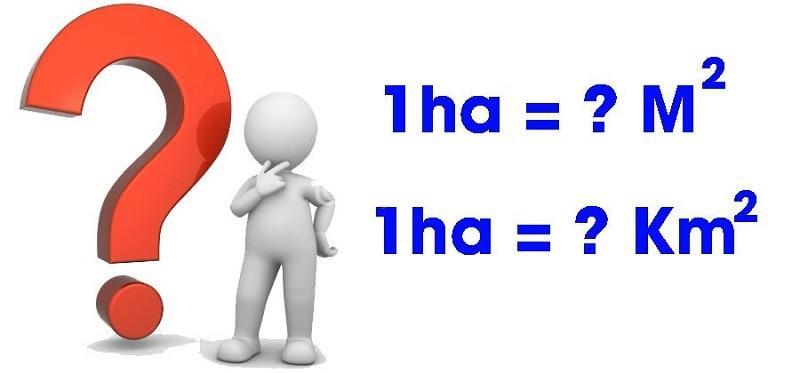 1ha bằng bao nhiêu m2