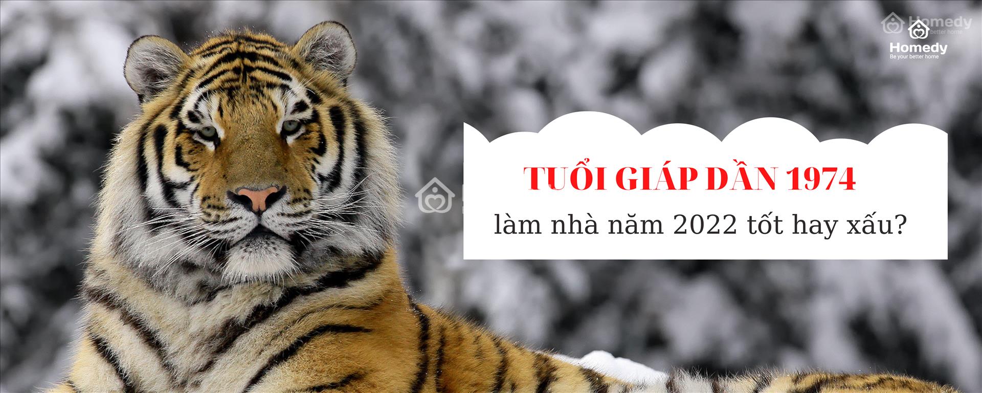 Tuổi Giáp Dần làm nhà năm 2022
