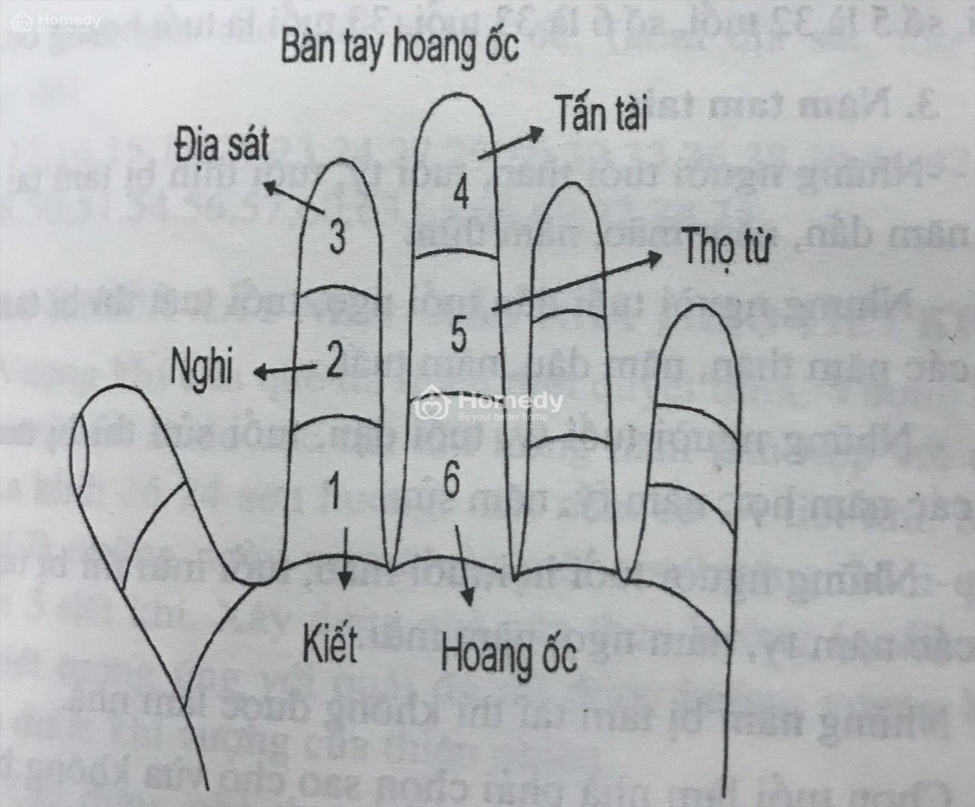 tinh-hoang-oc