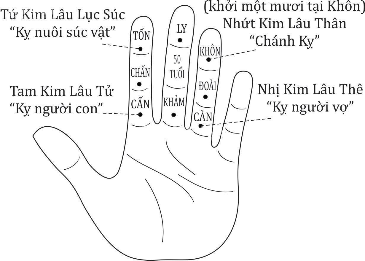kim lau la gi cach tinh tuoi kim lau