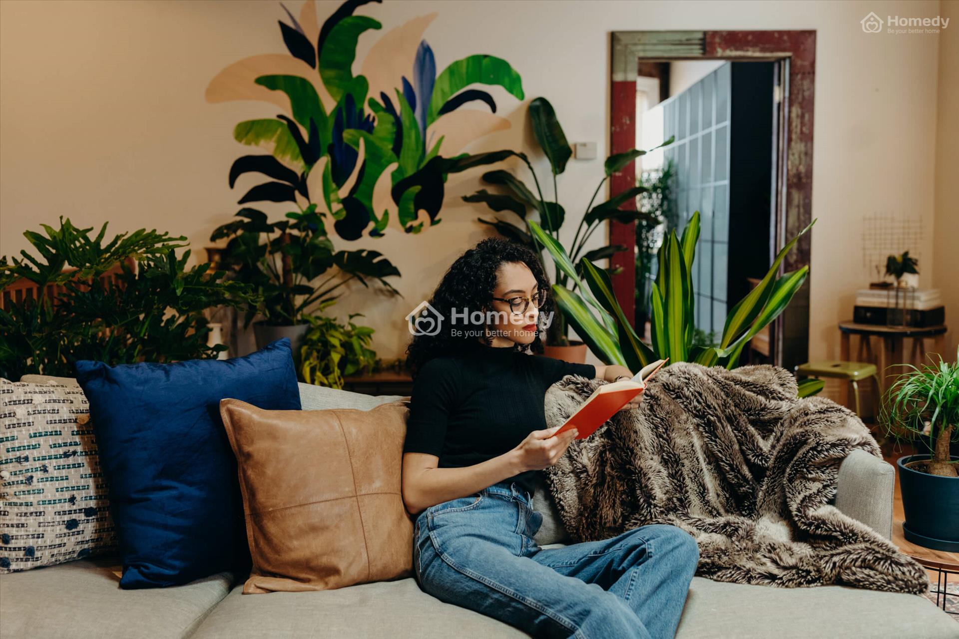 cay-phong-thuy-trong-nha