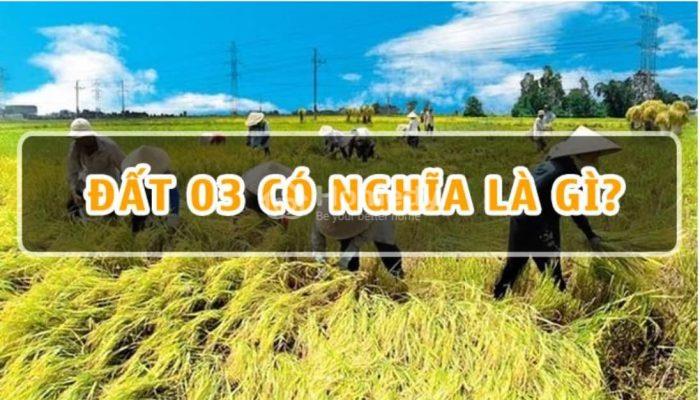 Đất 03 là gì?