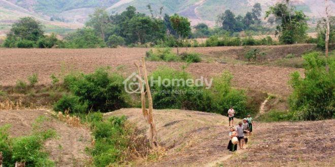 đất khai hoang có được cấp sổ đỏ không