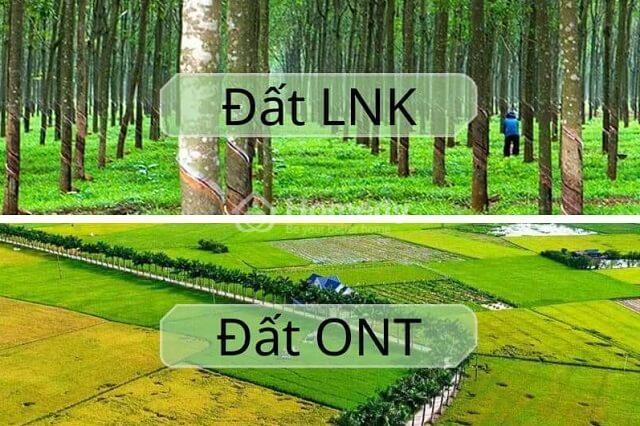 dat-lnk-la-gi-2