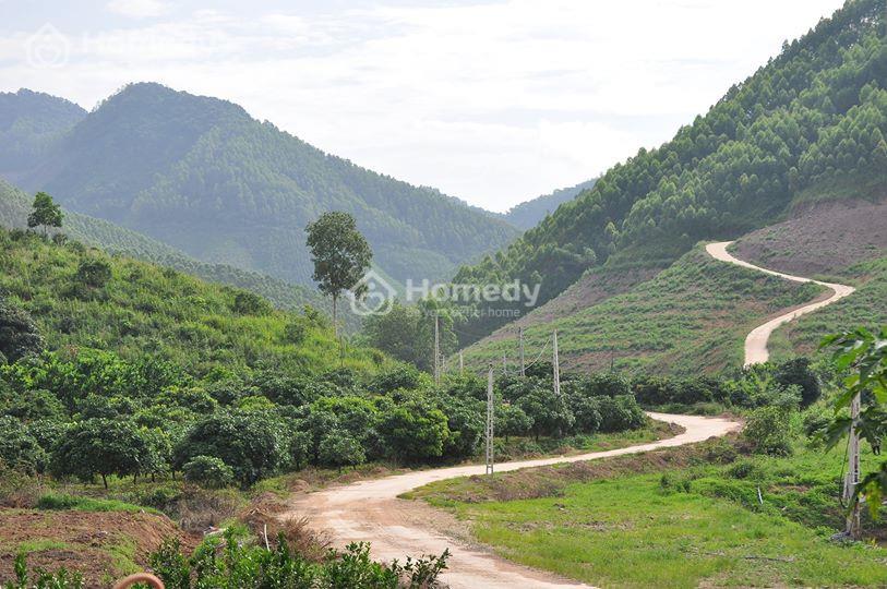 đất rsx là gì