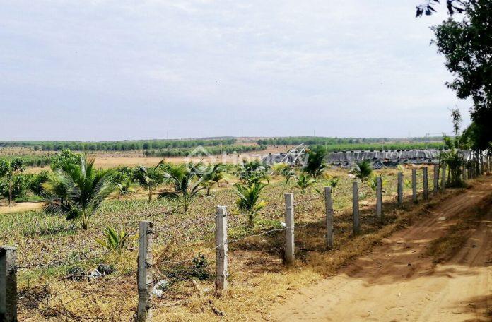 Đất sào Đồng Nai trong khoảng 5 năm trở lại đây liên tục tăng nhiệt