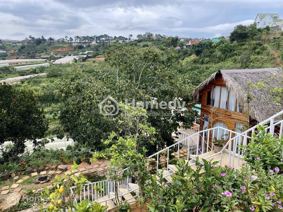 BĐS ven Đà Lạt mang lợi ích “kép” cho thuê và nghỉ dưỡng