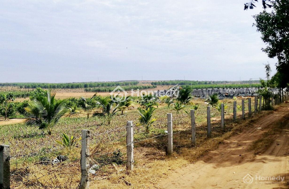 Đất vườn Đồng Nai