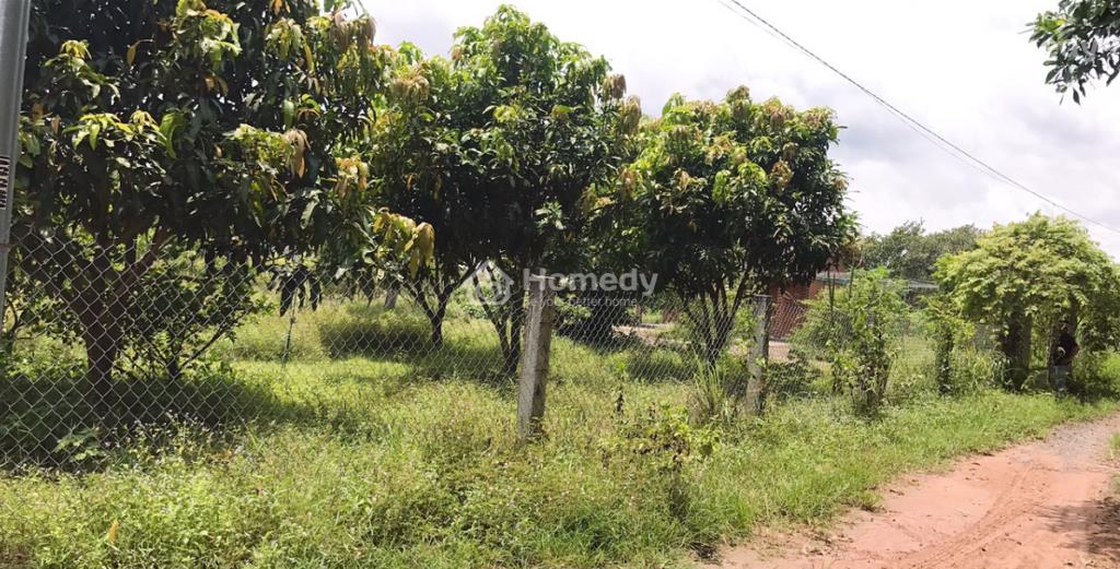 đất vườn Nhơn Trạch