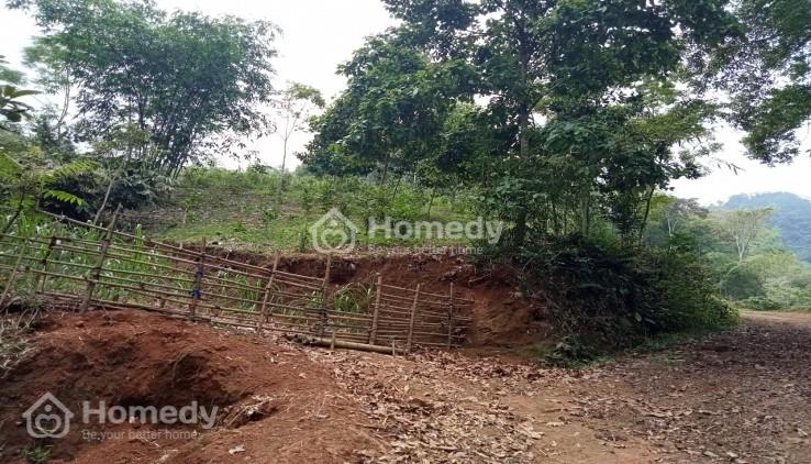 giá 1 ha đất rừng