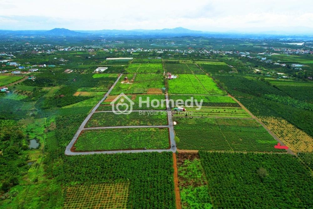 giá đất lâm đồng