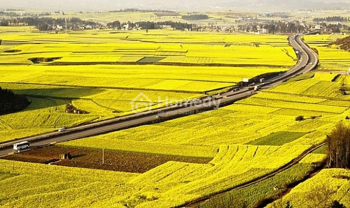 Các đối tượng được thuê đất nông nghiệp được quy định tại Điều 5 Luật Đất đai