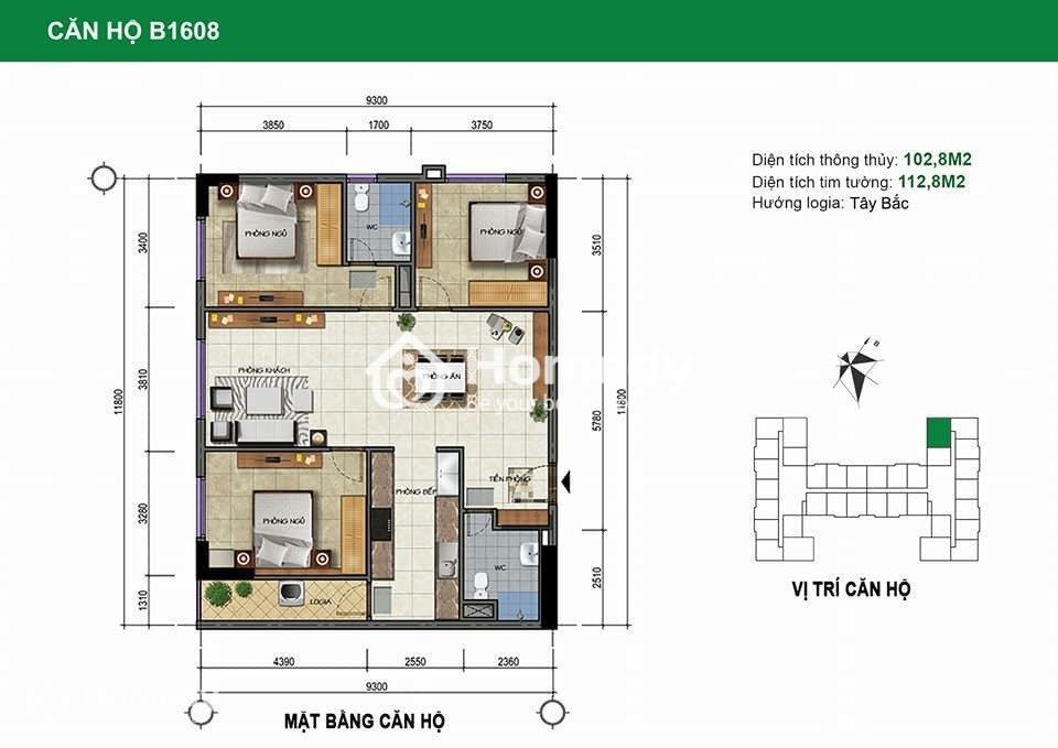 Thiết kế căn hộ Hoành Sơn Complex