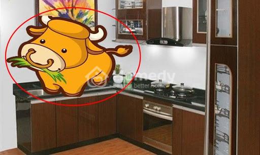 Gia chủ tuổi Ất Sửu nên tránh những hướng bếp nào?