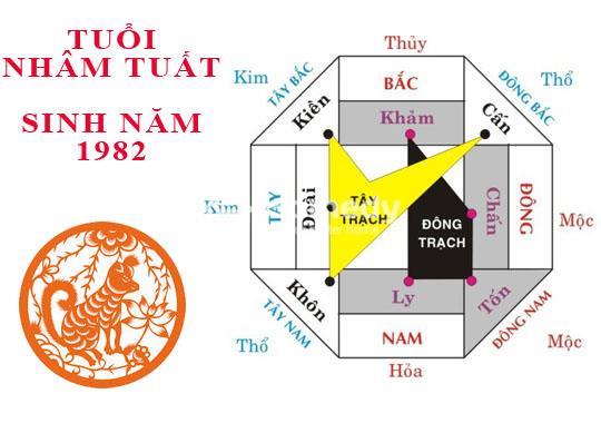 Hướng dẫn chọn hướng bếp cho người tuổi nhâm tuất