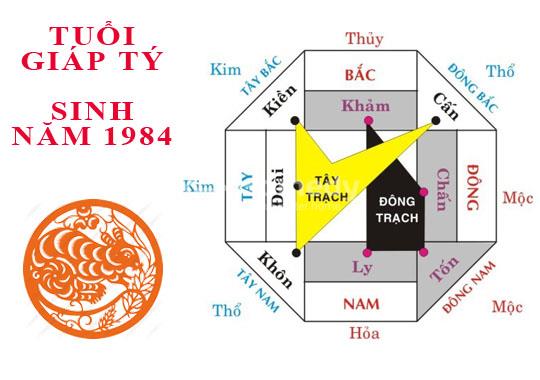 Nam 1984 hợp hướng nhà nào?