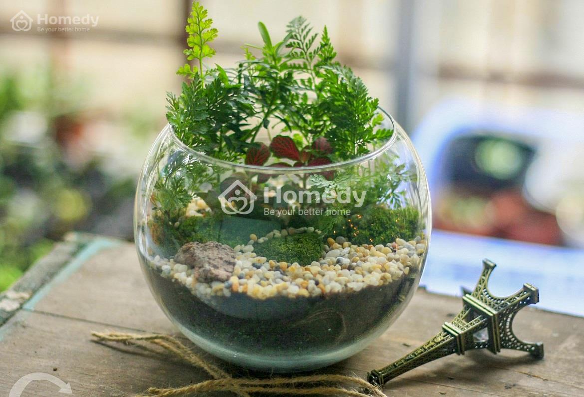 Ý tưởng trang trí văn phòng làm việc bằng cây cảnh mini