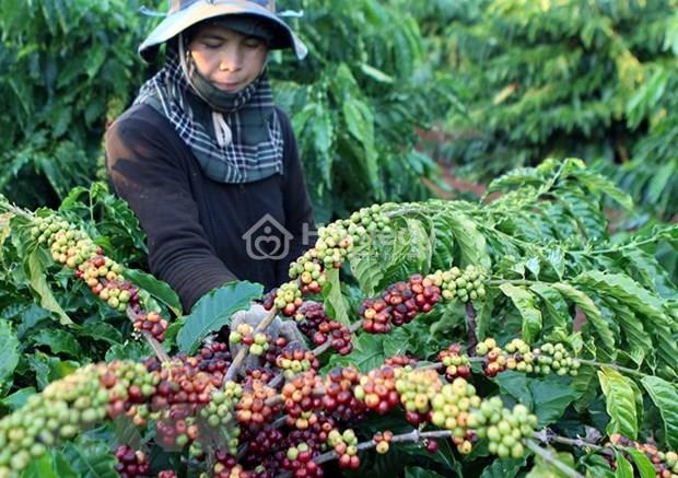 LNC là đất gì?