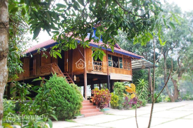 Mẫu nhà sàn gỗ trong khu resort, du lịch nghỉ dưỡng