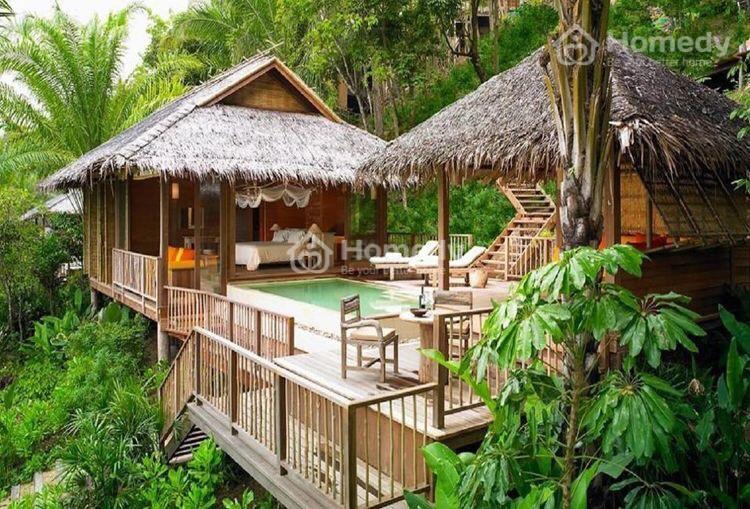 Nhà sàn gỗ phủ mái lá truyền thống