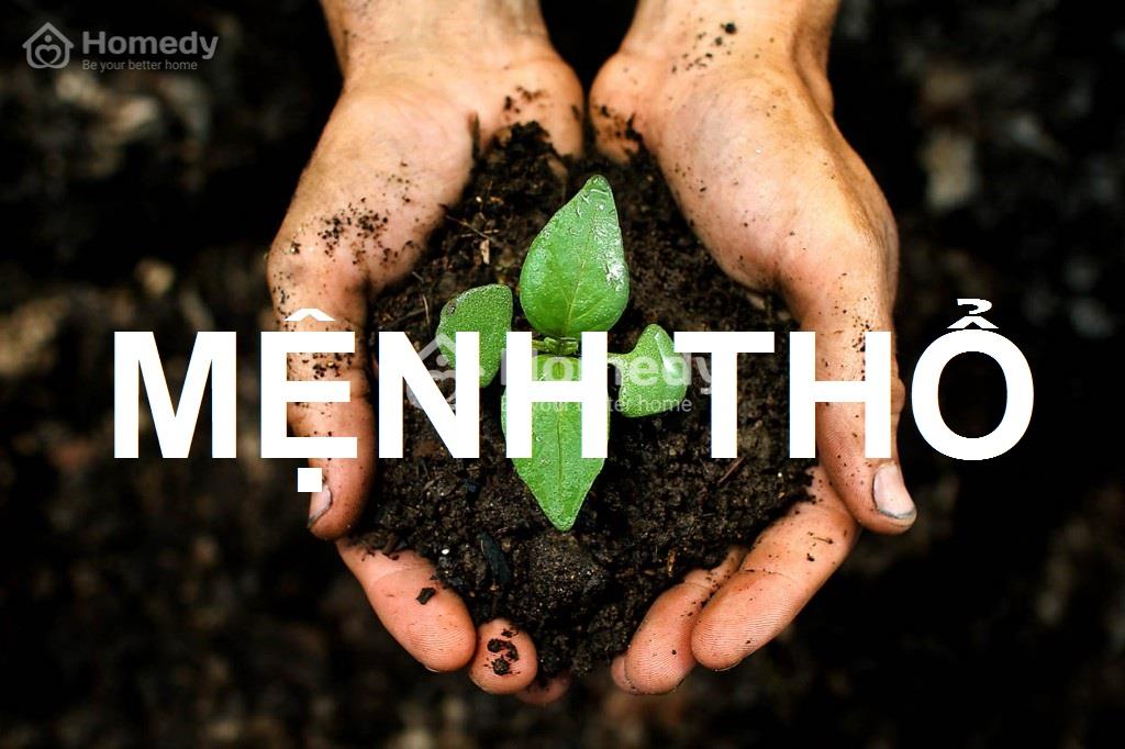 Mệnh Thổ hợp cây gì để bàn làm việc?