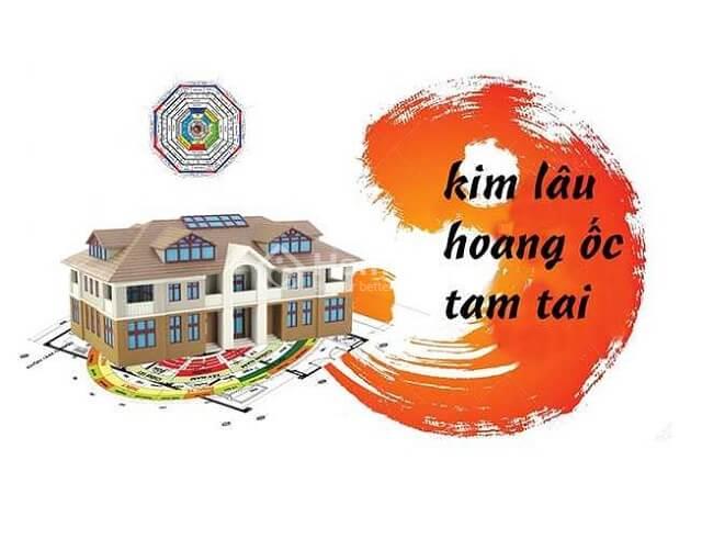 nam-tuoi-co-lam-nha-duoc-khong-3