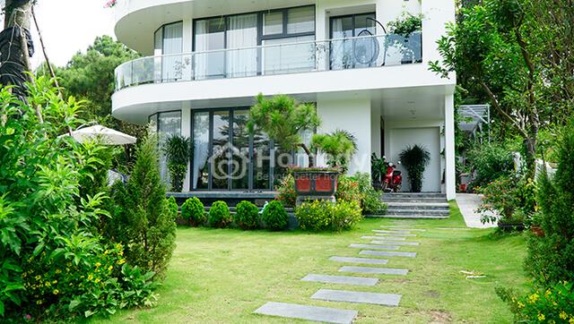 nhung-cay-kieng-ky-trong-truoc-nha-6