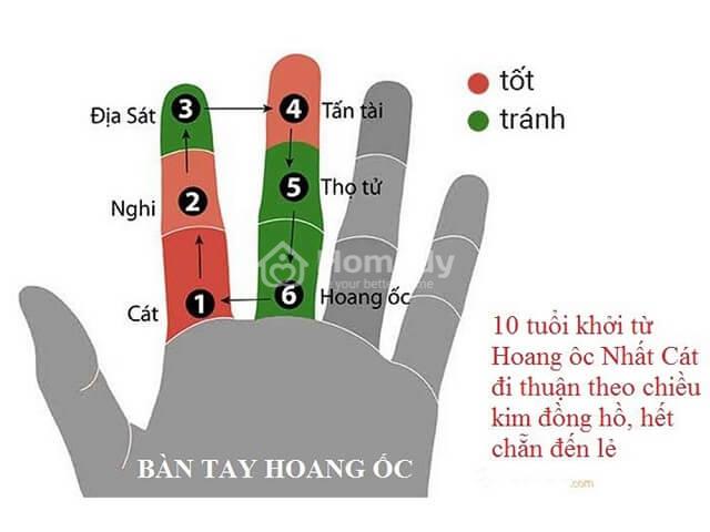 tam-tai-hoang-oc-kim-lau-7