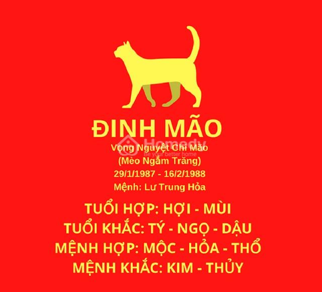 tuoi-1987-xay-nha-nam-nao-dep-1