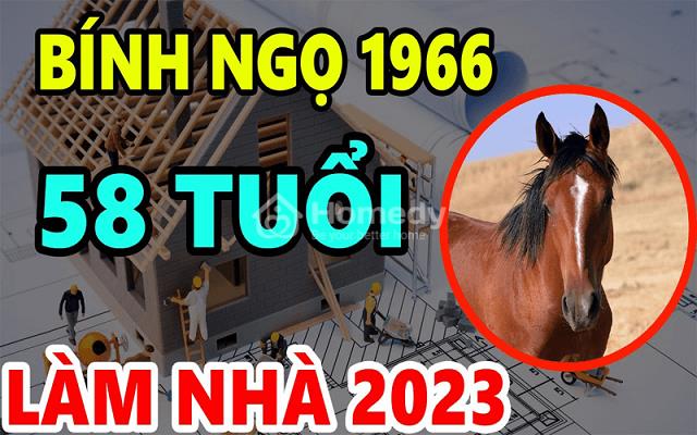 tuoi-binh-ngo-lam-nha-nam-2023-2