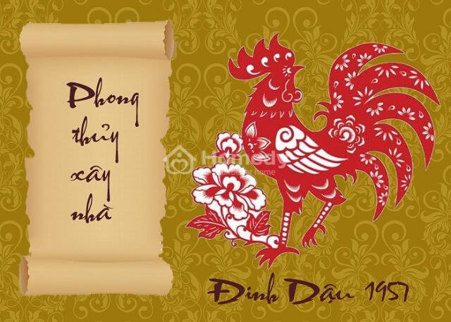 tuoi-dinh-dau-lam-nha-nam-2023-4