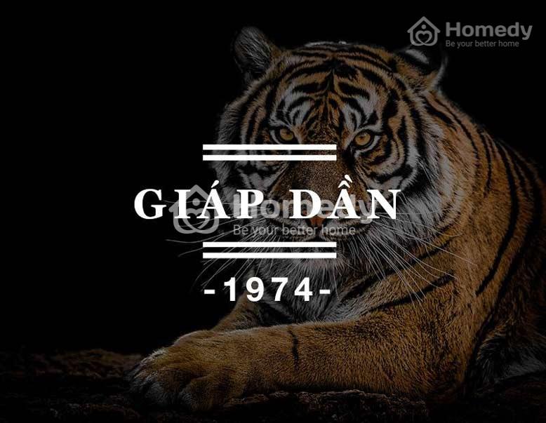 tuoi-giap-dan-lam-nha-nam-2025-3