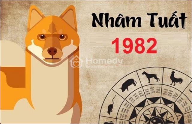 tuoi-nham-tuat-xay-nha-nam-nao-tot-1