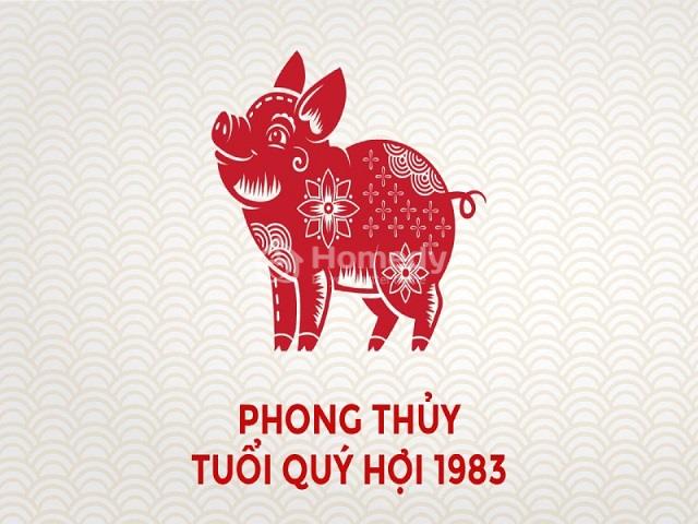 tu-vi-tuoi-quy-hoi-1983