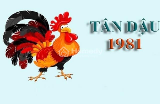 tong-quan-ve-tuoi-tan-dau-1981