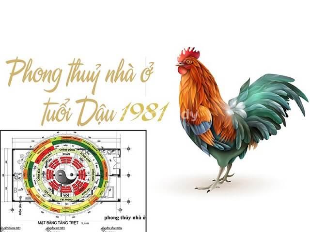 tuoi-tan-dau-lam-nha-can-tranh-pham-phai-tam-tai-hoang-oc-kim-lau