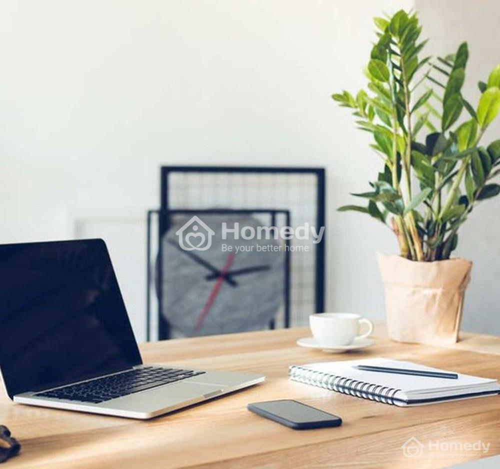 Trang trí cây phong thủy trên bàn làm việc