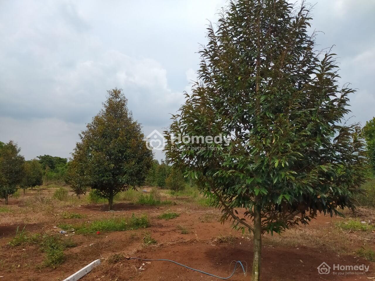 xã Xuân Tây huyện Cẩm Mỹ tỉnh Đồng Nai