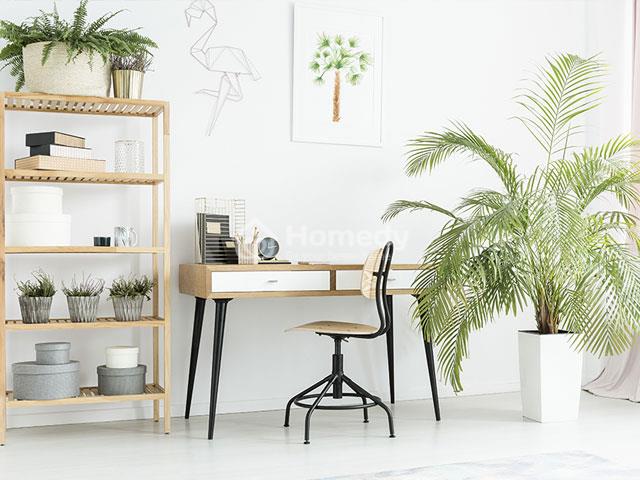 Decor phòng làm việc tại nhà